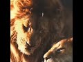 نطق الاسد 