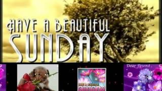 Happy Sunday Greetings/Quotes/Sms/Wishes/Saying/E-Card/Wallpapers/ Whatsapp Video Happy Sunday Greetings/Quotes/Sms/Wishes/Saying/E-Card/Wallpapers/ Whatsapp Video