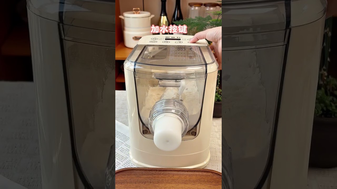 Automatic Pasta Maker, Electric Noodle Maker Machine, Noodle Press Machine with 8 Mold