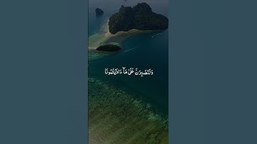 سورة ابراهيم - الآية 12 - اسلام صبحي
