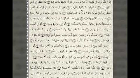 سورة نوح بصوت الشيخ صهيب حبلي