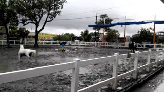 1040523阿Co在橋頭玩水