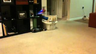 mCP X Apartment Hover