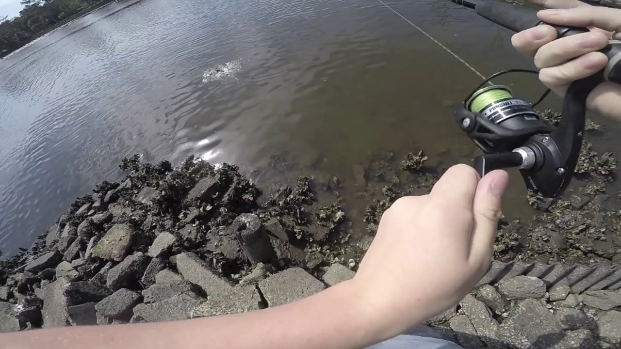 epic florida flounder fishing YouTube