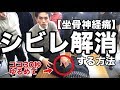 【シビレ解消】30秒で坐骨神経痛を治す！【腰痛 ストレッチ マッサージ】