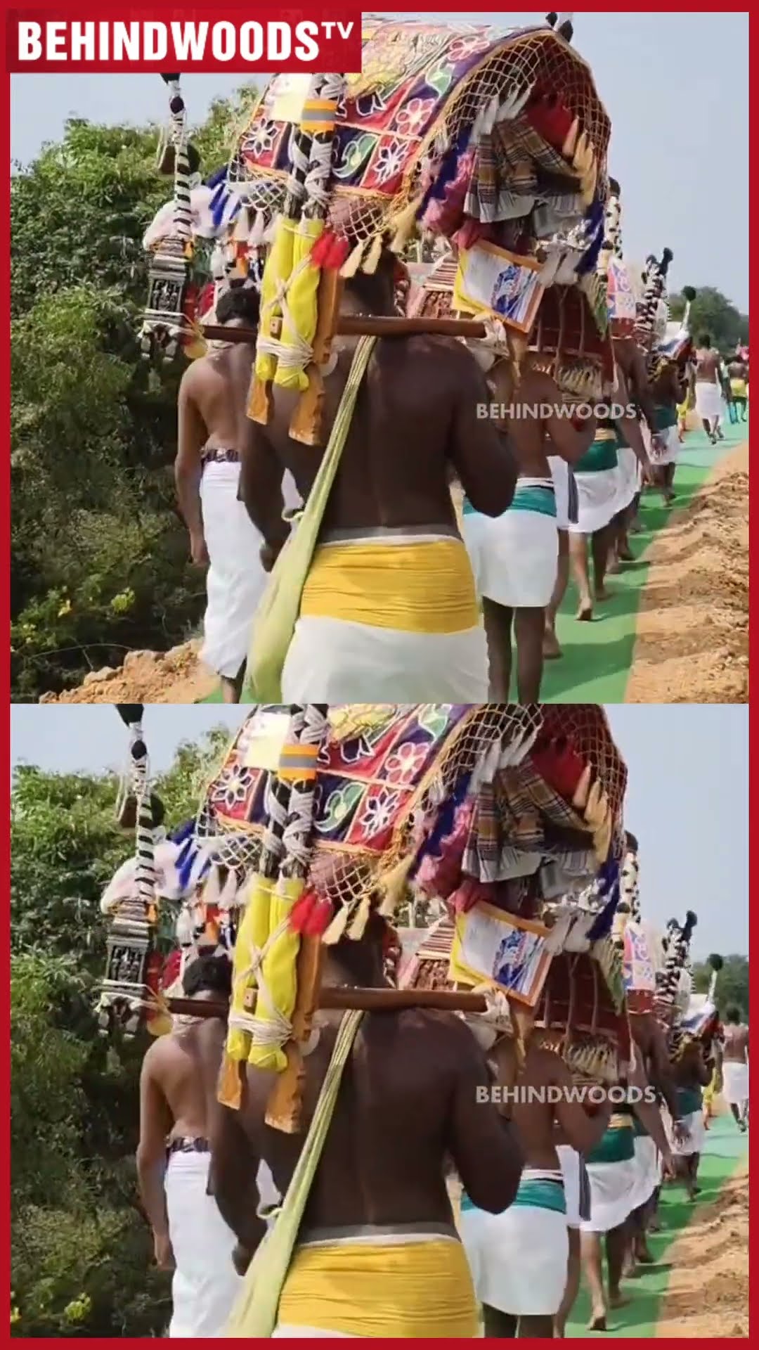 '425 வருடங்களாக மாறாத வழக்கம்?' ?6 km-க்கு விரிக்கப்பட்ட பச்சை கம்பளம்?