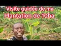 Visite guide de ma nouvelle plantation de 10ha