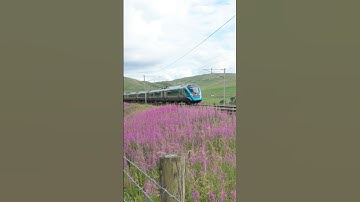 Transpennine Express Class 397 Manchester Airport to Edinburgh passing Abington #trainspotting #nova