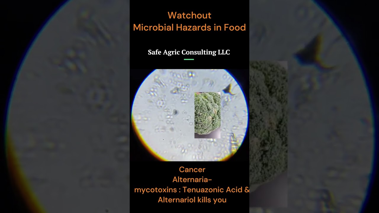 Wrong About Broccoli - This Kills Many 