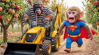 Monkey Nana Drives Tractor Excavator To Harvest Dragon Fruit And Catch Sneaky Thief On The Farm