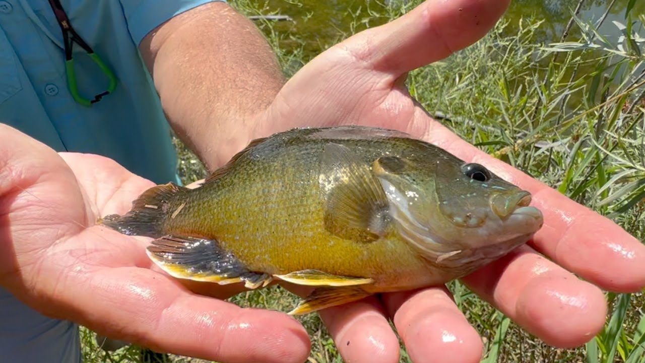 Kleenburn Pond: This Place Rocks!