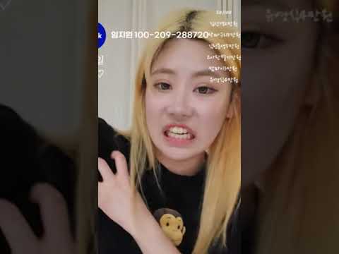 #김린 #고양이  #렉돌고양이 #노르웨이숲