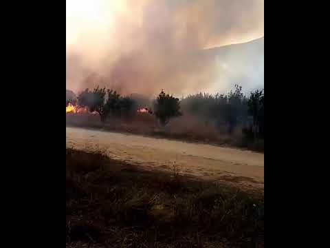 حريق في مرج بسري 19  2020