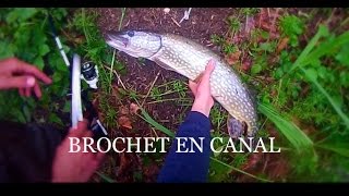 Pêche du carnassier 2015 (brochet,perche,truite)|GoPro HD #2