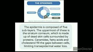 Performance Task in physical science  Mary Clear Garcia Grade 12 humss B