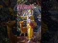 he come into my life #love #radheshyam #radhakrishna #radherahde #trending #rathi #thelegendofprinc