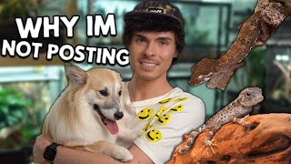 The Real Reason I Havent Been Posting