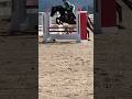 #horse #equestrianrider #horseenthusiast #equestrianlife #horsefan #equestrianlifestyle #horselover
