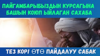 картинка: ТЕЗ КОР! ПАЙГАМБАРЫБЫЗДЫН КУРСАГЫНА БАШЫН КОЮП ЫЙЛАГАН САХАБА ЖОНУНДО//АХМАТАЛИ ДАМЛА