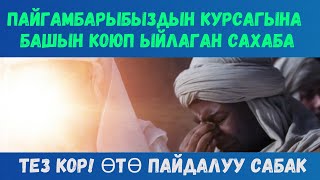 ТЕЗ КОР! ПАЙГАМБАРЫБЫЗДЫН КУРСАГЫНА БАШЫН КОЮП ЫЙЛАГАН САХАБА ЖОНУНДО//АХМАТАЛИ ДАМЛА