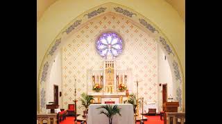 Wednesday Mass- Feb. 11, 2026, St. Joseph Church (Wilmington, DE) Vy. Rev. Glenn Evers, Pastor