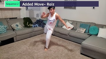 Capoeira Sequence Training