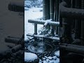 Bamboo Water Flow for Calm, Instant Peace Short