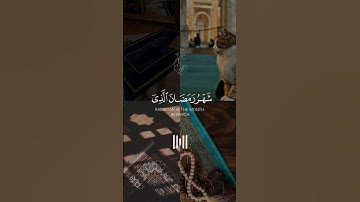 ارح سمعك مع لقارئ عبدالرحمن مسعد🤍🎧 #عبدالرحمن_مسعد #تلاوة #القرآن #القران_الكريم