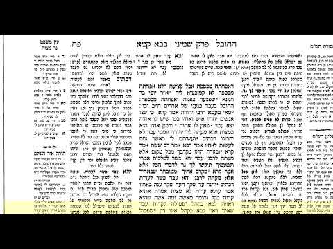 דף יומי בבא קמא דף פח