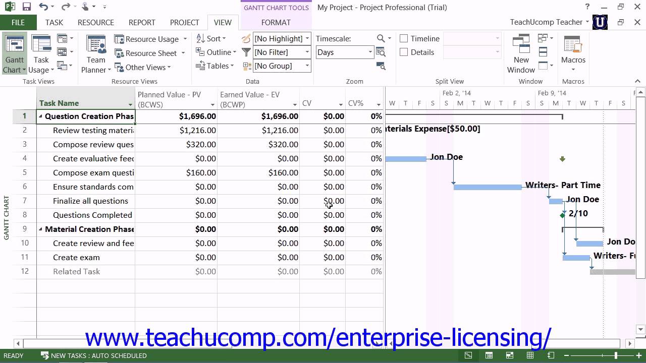 Microsoft Office Project Tutorial 2013 Reporting Lesson 13.2 Employee ...