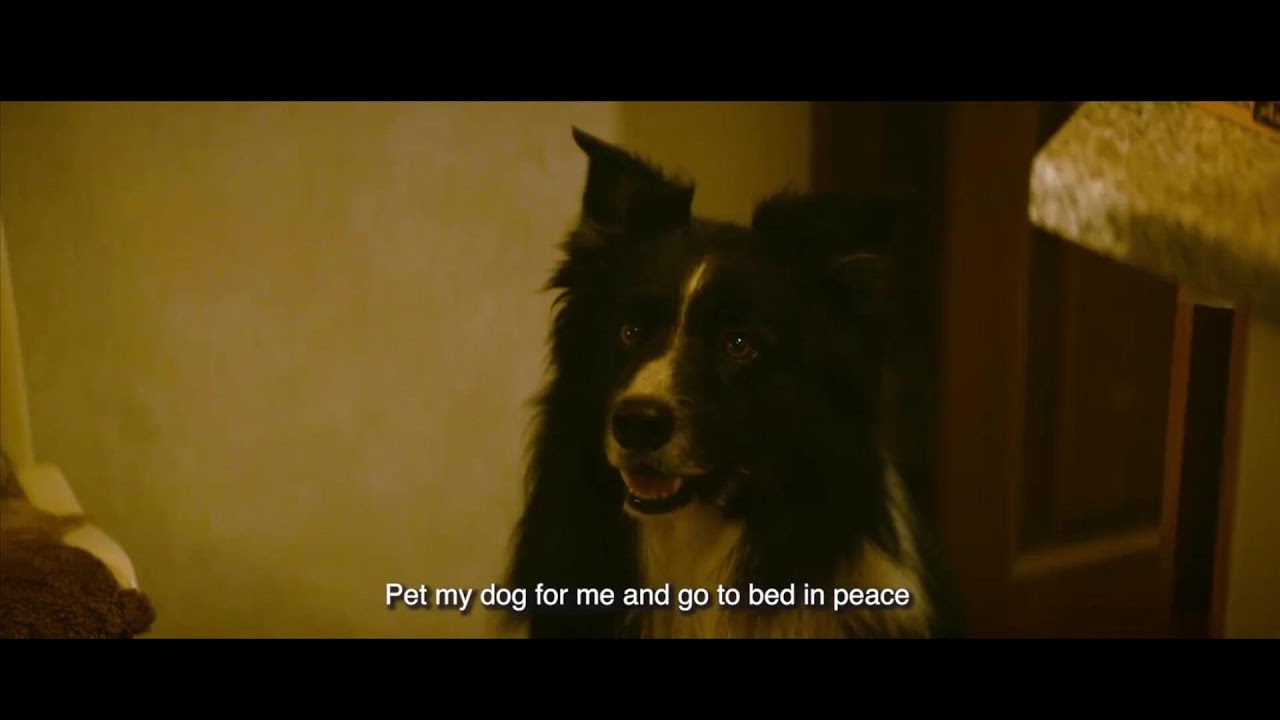 The Monday Edition - VA Nurse Shot and AI Slop.