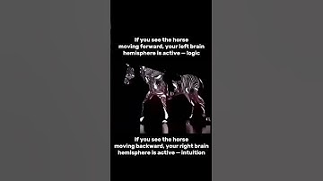 Left Brain vs Right Brain: What Do You See?