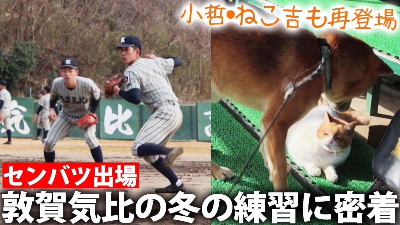 Senbatsu Participation] Close coverage of the prestigious Tsuruga