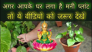 मन पलट क 3 फयद शयद ह कई आपक बतएग How To Become Rich In Real Life, Vastu Care