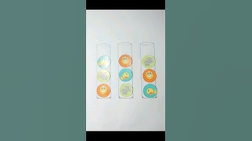 Emoji Bottle Sort Puzzle Game #thedreamdesign #shorts #viral