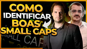 Como encontrar boas small caps?