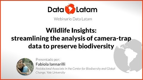 Wildlife Insights: streamlining the analysis of camera-trap data to preserve biodiversity