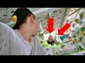 TOILET PAPER FORT WARS WITH SECURITY! *KICKED OUT*