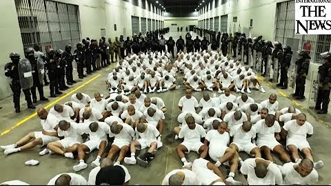US deports hundreds of alleged gangmembers to El Salvador