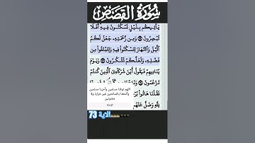 سورة القصص الآية 73 #قرآن #quran #islam #islamicstatus