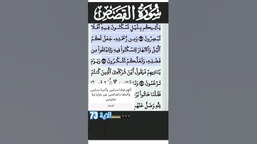 سورة القصص الآية 73 #قرآن #quran #islam #islamicstatus