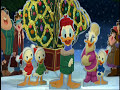 Donald Christmas Photo 5