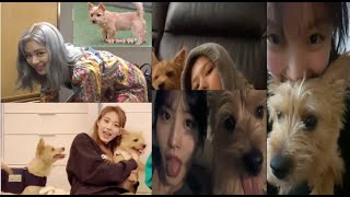 Twice Moments Imitating Boo Jeongyeon Momo Nayeon Sana Tzuyu Cute Moment