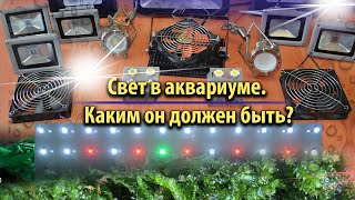 Свет в аквариуме , каким он должен быть ?