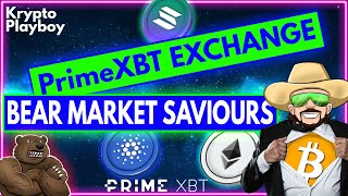 Prime XBT Exchange Tutorial | 5000% + Profit with Copy Trading | + $7000 Bonus