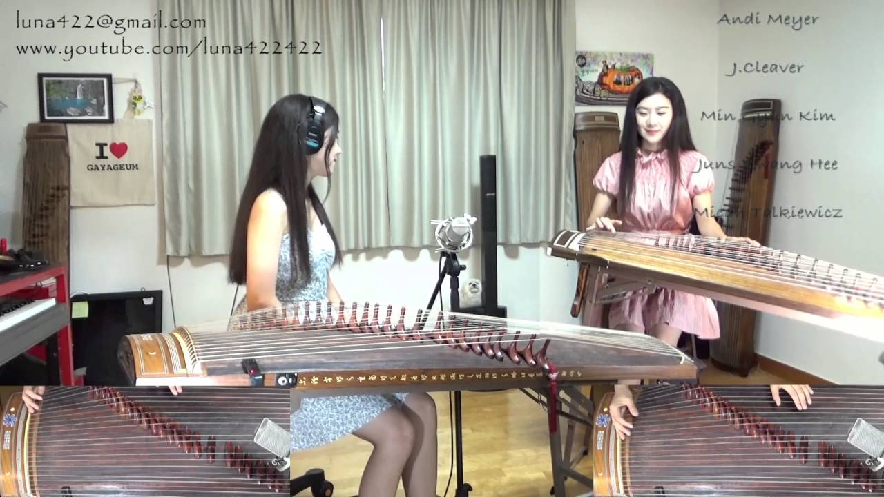 Weezer- Island In The Sun Gayageum ver. by Luna