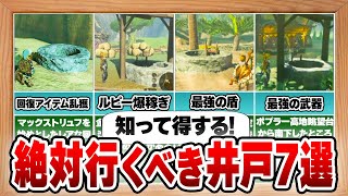 【ティアキン】アイテム乱獲&最強装備が手に入る！絶対に行くべき井戸7選