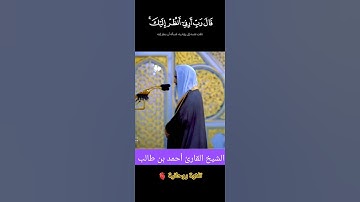 تلاوة خاشعة مؤثرة للشيخ #أحمد_بن_طالب #المغرب #السعودية