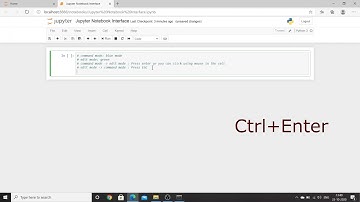 Jupyter Notebook Interface