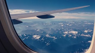 the window seat
